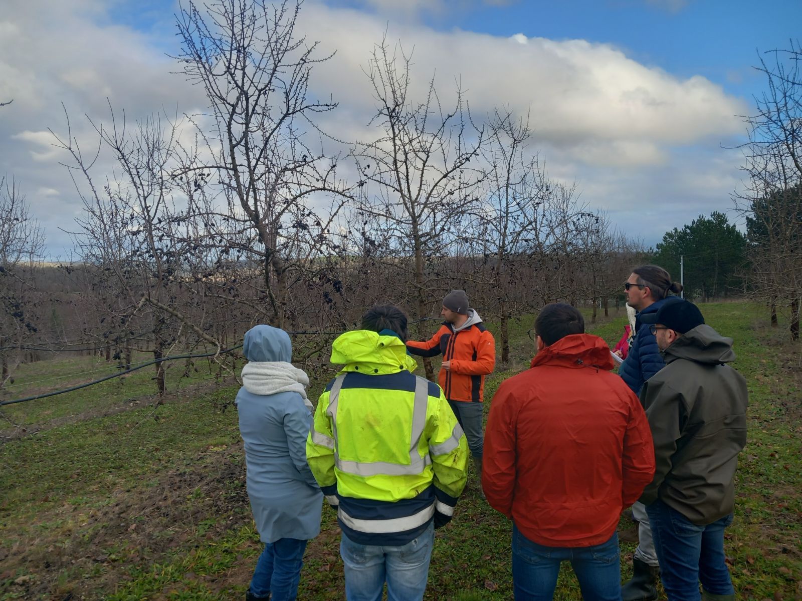 Retour sur une journée de formation autour de l’amande organisée par la Chambre d’agriculture du Lot