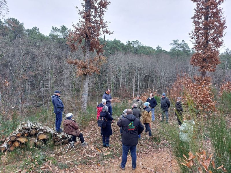 Le GPF Sud-Adour et le CETEF 64  à la découverte des forêts lotoises