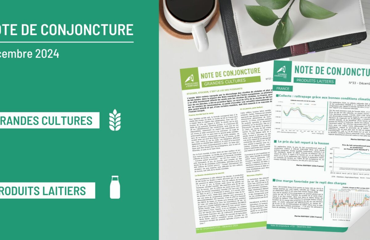 Deux nouvelles Notes de conjoncture sur les Grandes cultures et les Produits laitiers sont parues !