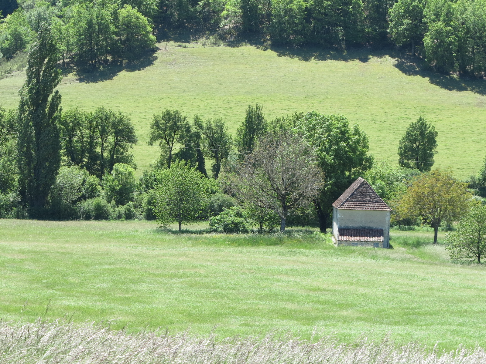 Le Label Haie : Une opportunité de plus-value économique et environnementale