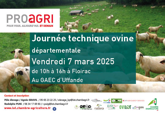 Journée technique ovine