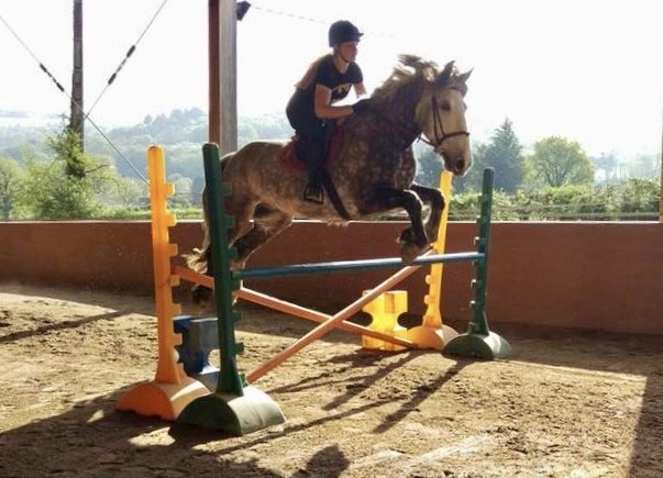 Maison Familiale de Terrou : Une école des savoirs professionnels ancrée dans la ruralité