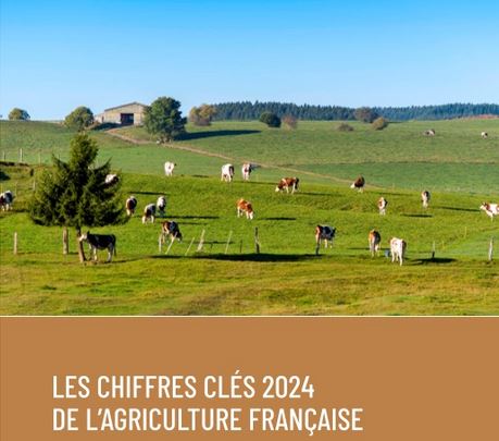 Les chiffres clés 2024 de l’agriculture française sont disponibles !