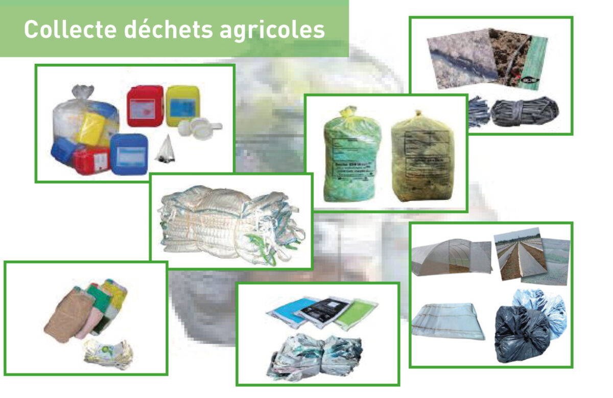 Collecte des déchets du 2 au 6 juin 2025