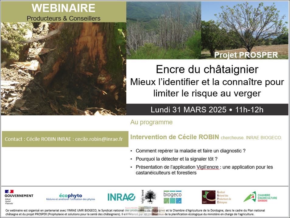 Prophylaxie et solutions pour la santé des châtaigniers : lundi 31 mars 2025 de 11h à 12 h