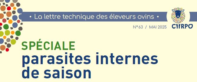 La lettre technique des éleveurs ovins : parasites internes de saison