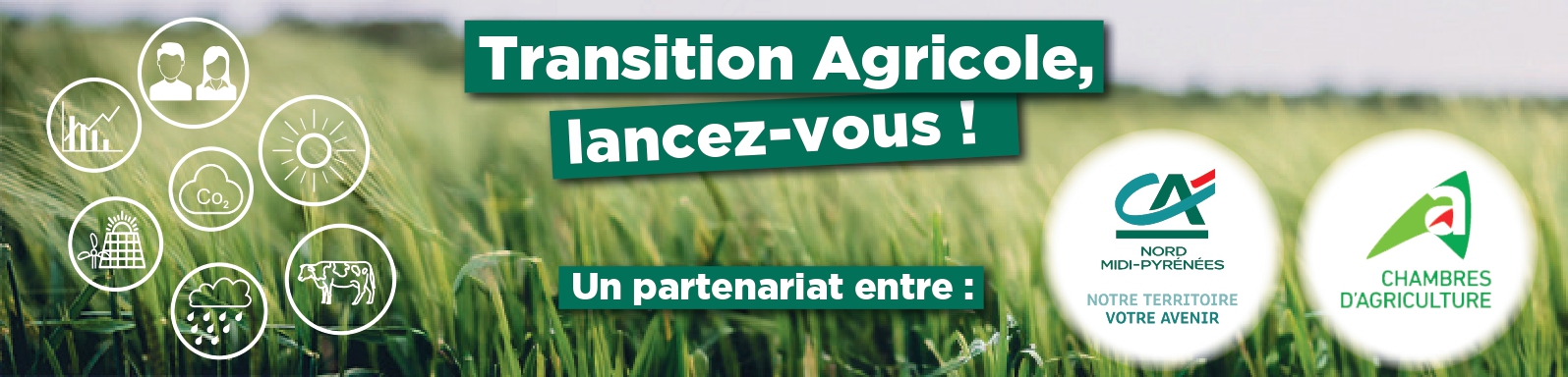 Biofertilisants : Une Solution Durable pour l’Agriculture