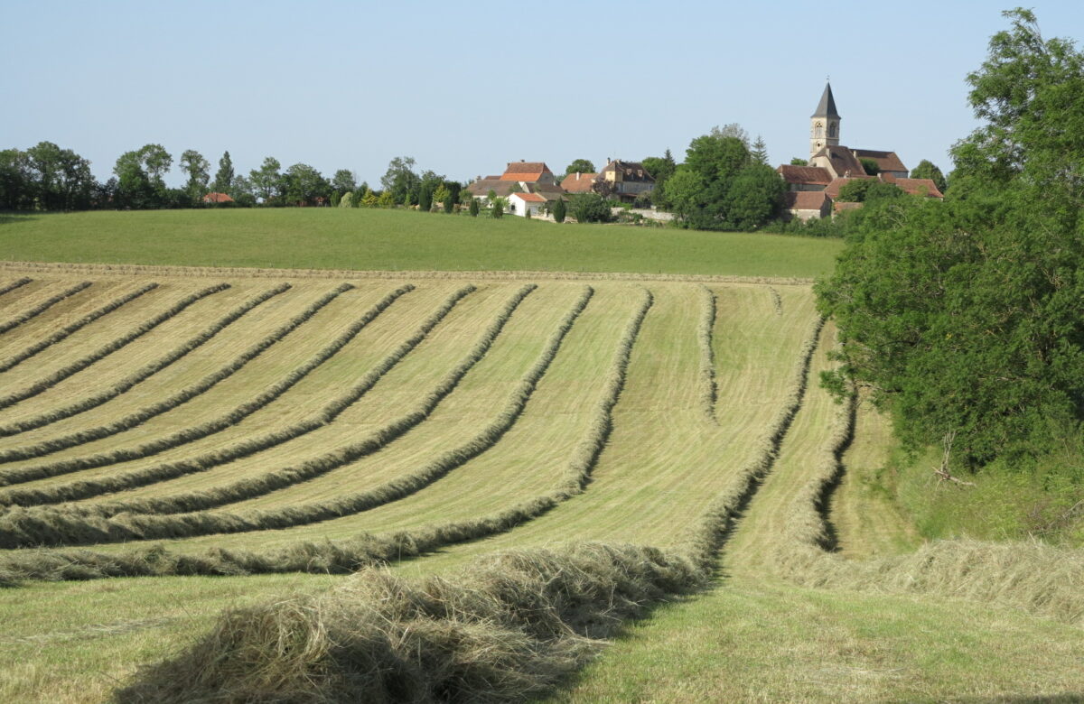 Chambre d'agriculture du Lot | Réussir sa fenaison : les bons gestes à adopter