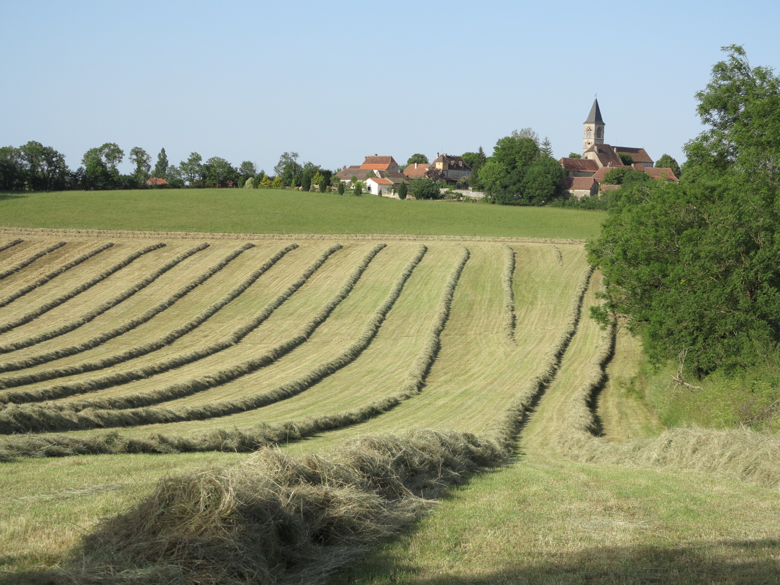 Chambre d’agriculture du Lot | Réussir sa fenaison : les bons gestes à adopter