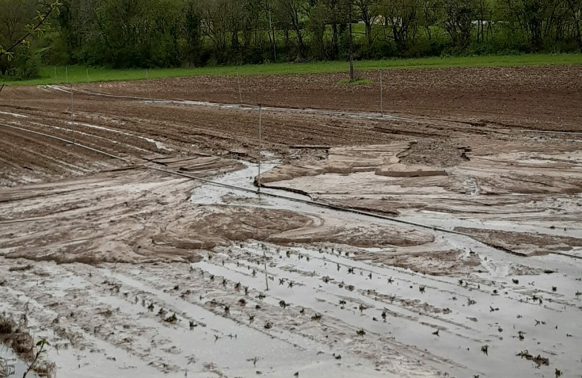Excès d’eau et Tornade : Ravinement, arbres arrachés, les dégâts sont importants