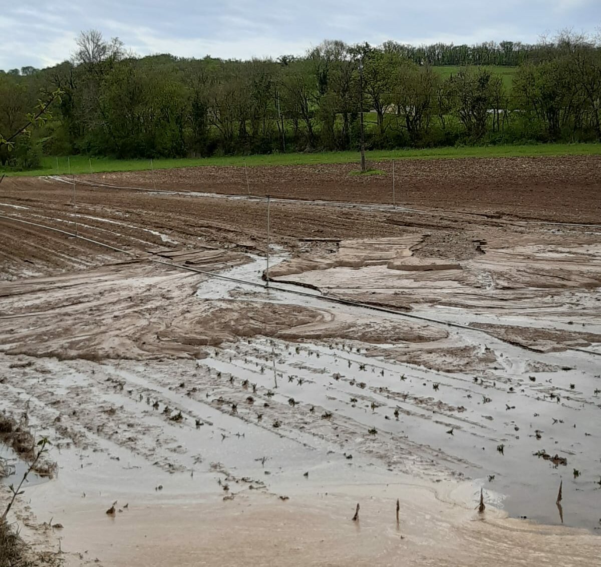 Excès d’eau et Tornade : Ravinement, arbres arrachés, les dégâts sont importants