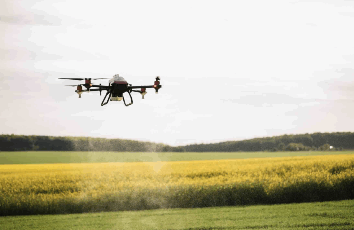 Les traitements phytos autorisés par drones sous condition