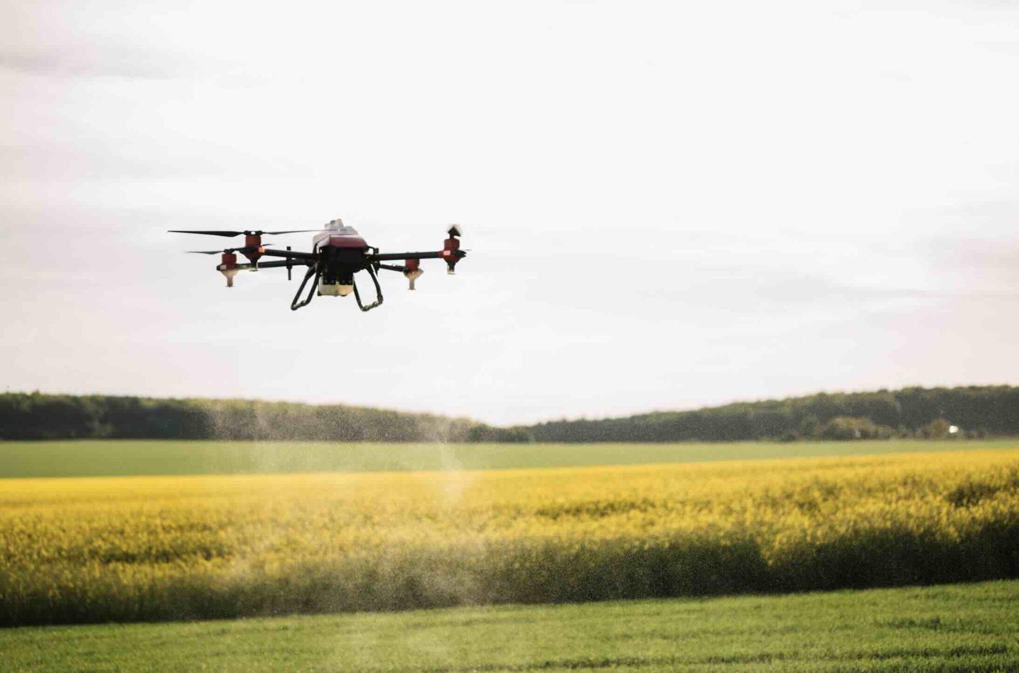 Les traitements phytos autorisés par drones sous condition