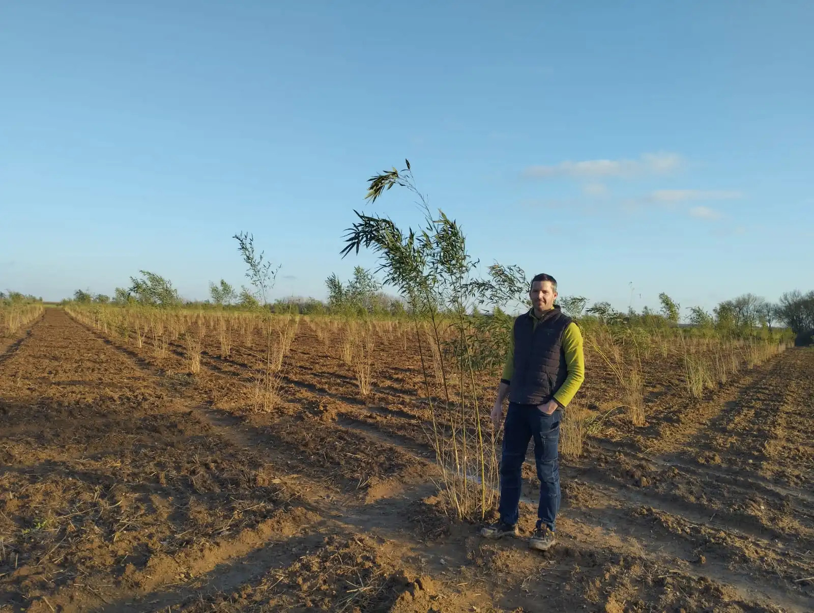 Diversification : La culture du bambou une vraie opportunité
