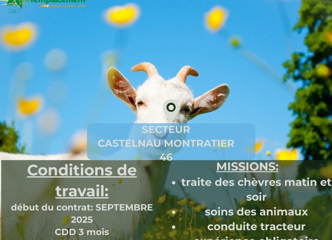 Offre d’emploi