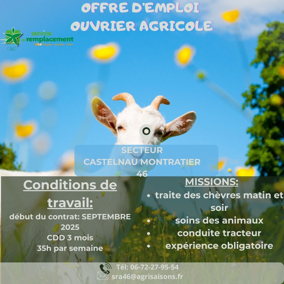 Offre d’emploi