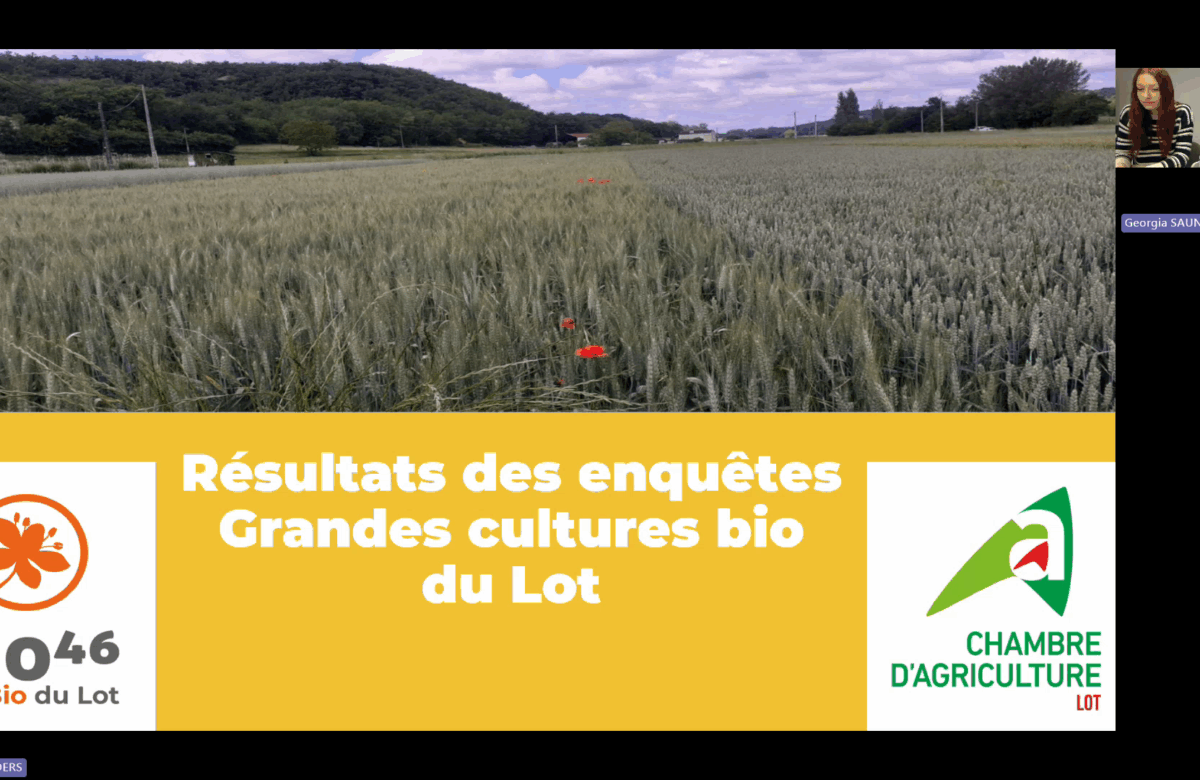 [VIDEO] Résultats de l’enquête grandes cultures bio dans le Lot