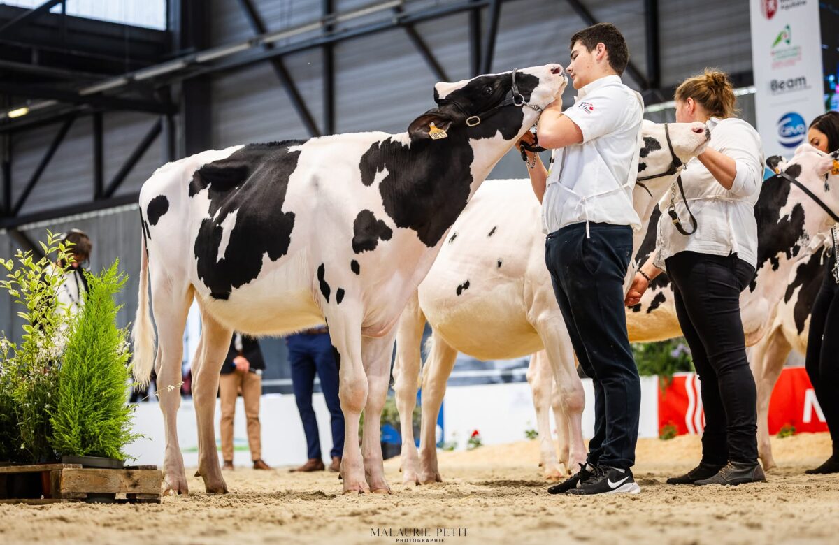 Aquitanima 2025 : Le beau palmarès des éleveurs prim’holstein lotois