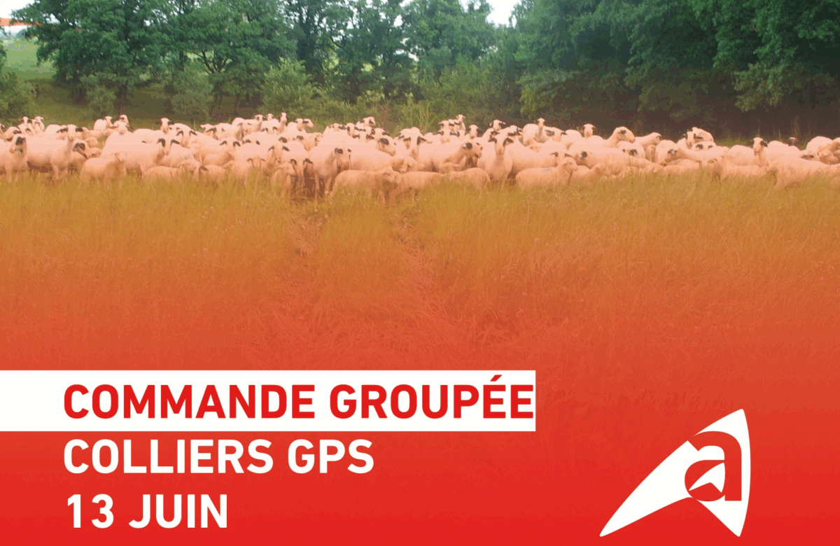 RAPPEL – COMMANDE GROUPÉE DE COLLIERS GPS
