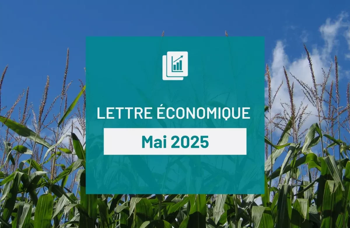 Lettre économique de mai 2025 : Le lait roule en 500