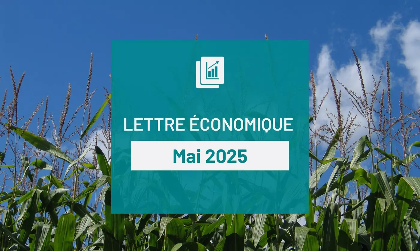 Lettre économique de mai 2025 : Le lait roule en 500