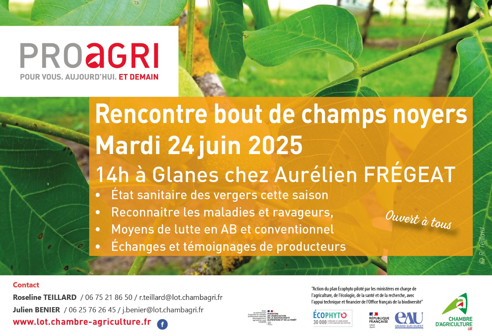 Invitation – Rencontre bout de champs noyers le 24 juin à Glanes