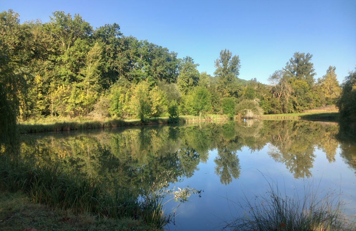 Quercy Blanc : deux bassins en action pour restaurer la ressource en eau