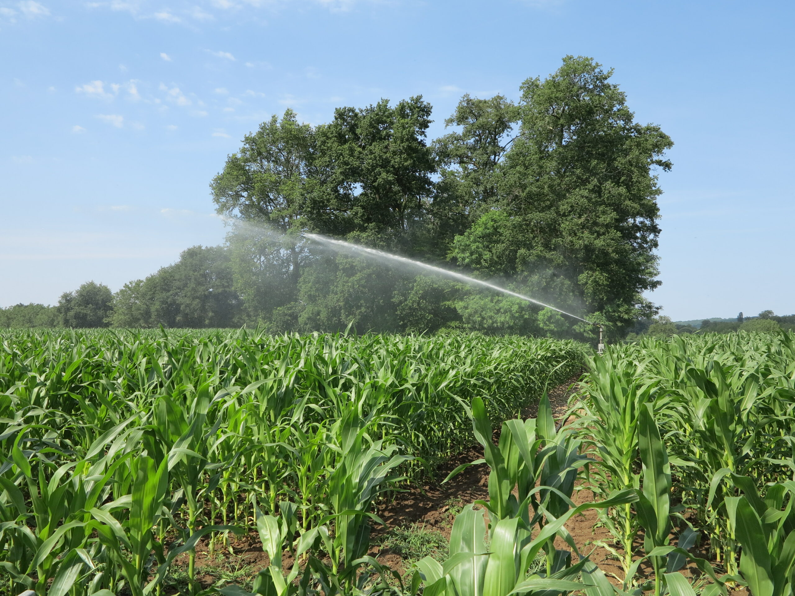 Efficience de l’eau : L’irrigation évolue vers une meilleure efficacité