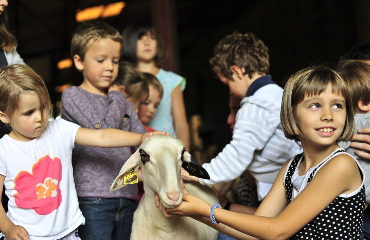 Fermes en Fête 2025 dans le Lot : Une ode à l’agriculture locale