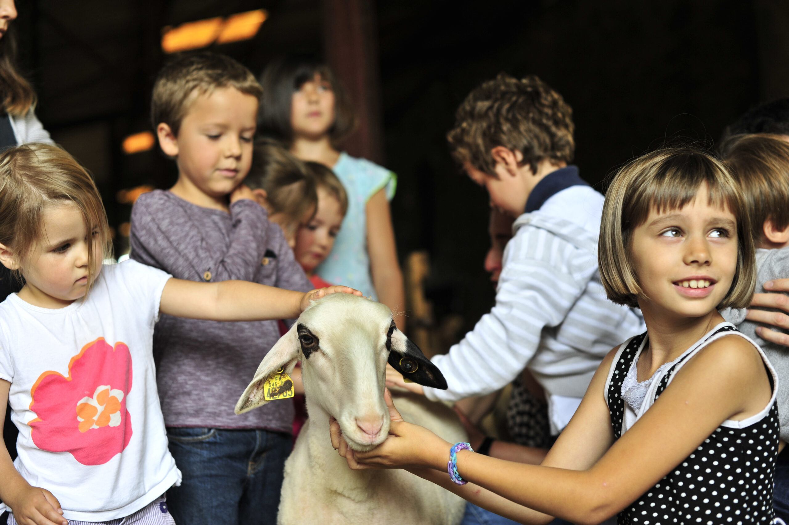 Fermes en Fête 2025 dans le Lot : Une ode à l’agriculture locale