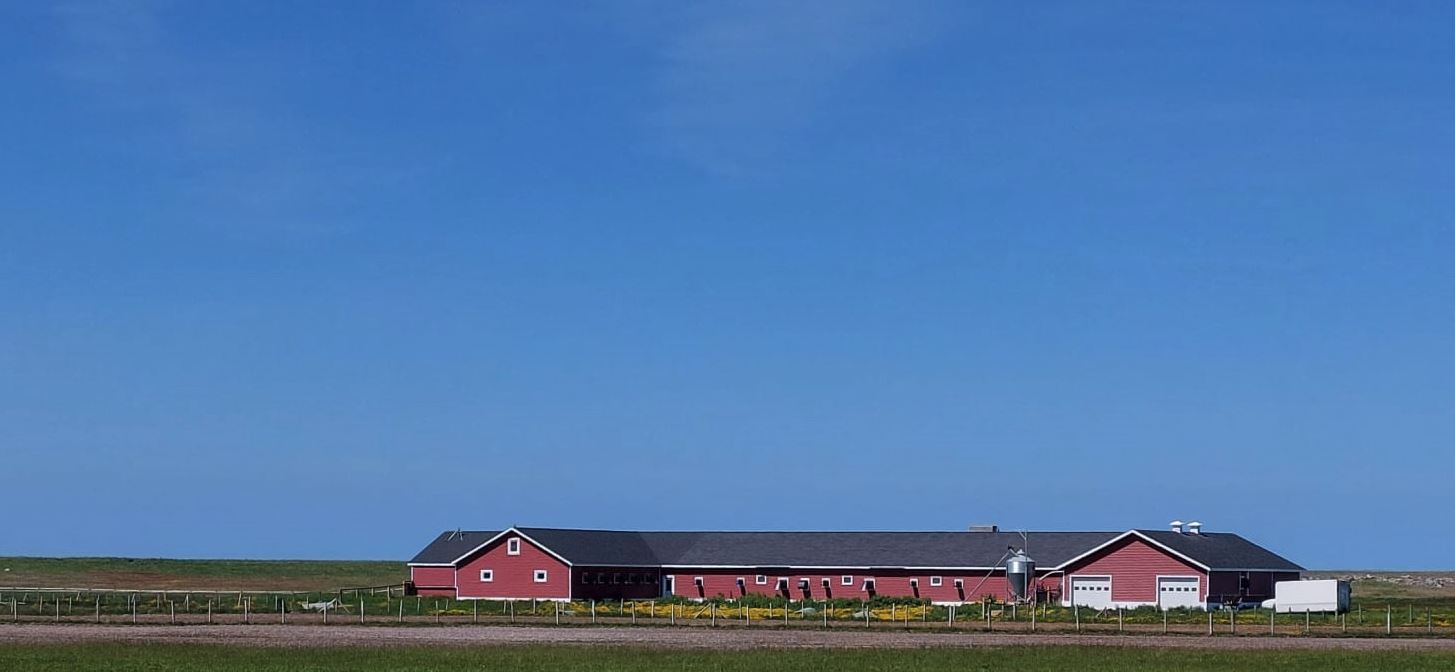 Chambre d’agriculture : Mission d’appui technique à l’élevage avicole de St-Pierre-et-Miquelon