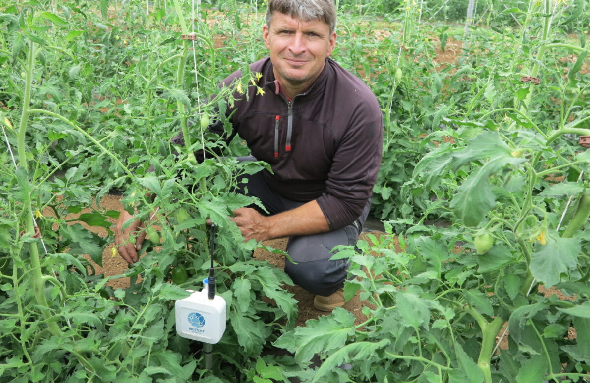Gestion de l’irrigation : Les sondes tensiométriques pour économiser l’eau