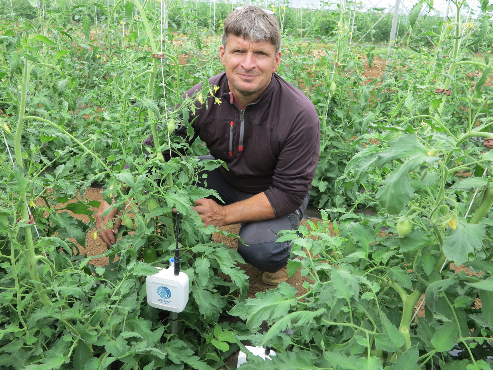 Gestion de l’irrigation : Les sondes tensiométriques pour économiser l’eau
