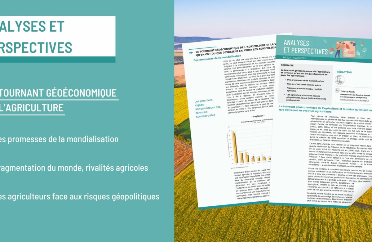 Études économiques : analyses et perspectives