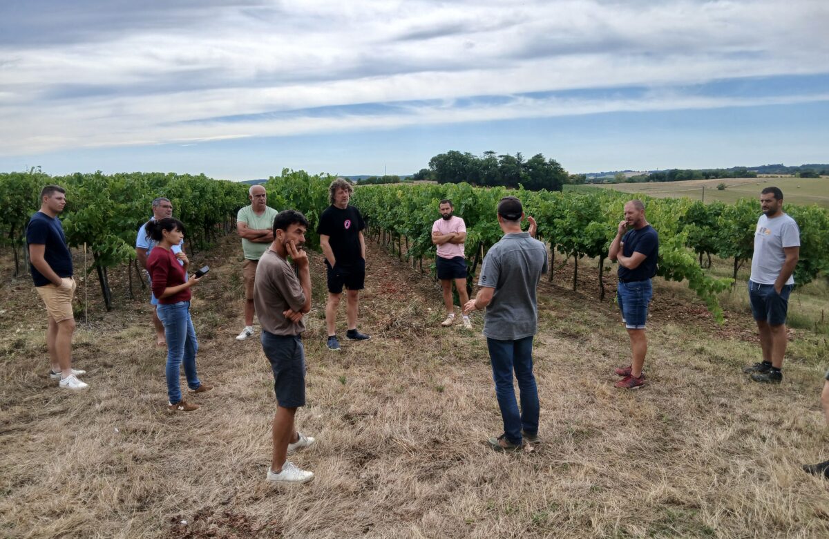 Groupe Déphy Lot : Les vignerons en visite  sur le vignoble Gersois