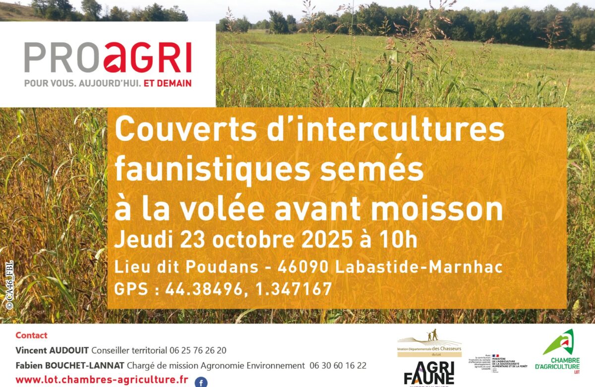 Journée technique : couverts d’intercultures faunistiques semés à la volée avant moisson