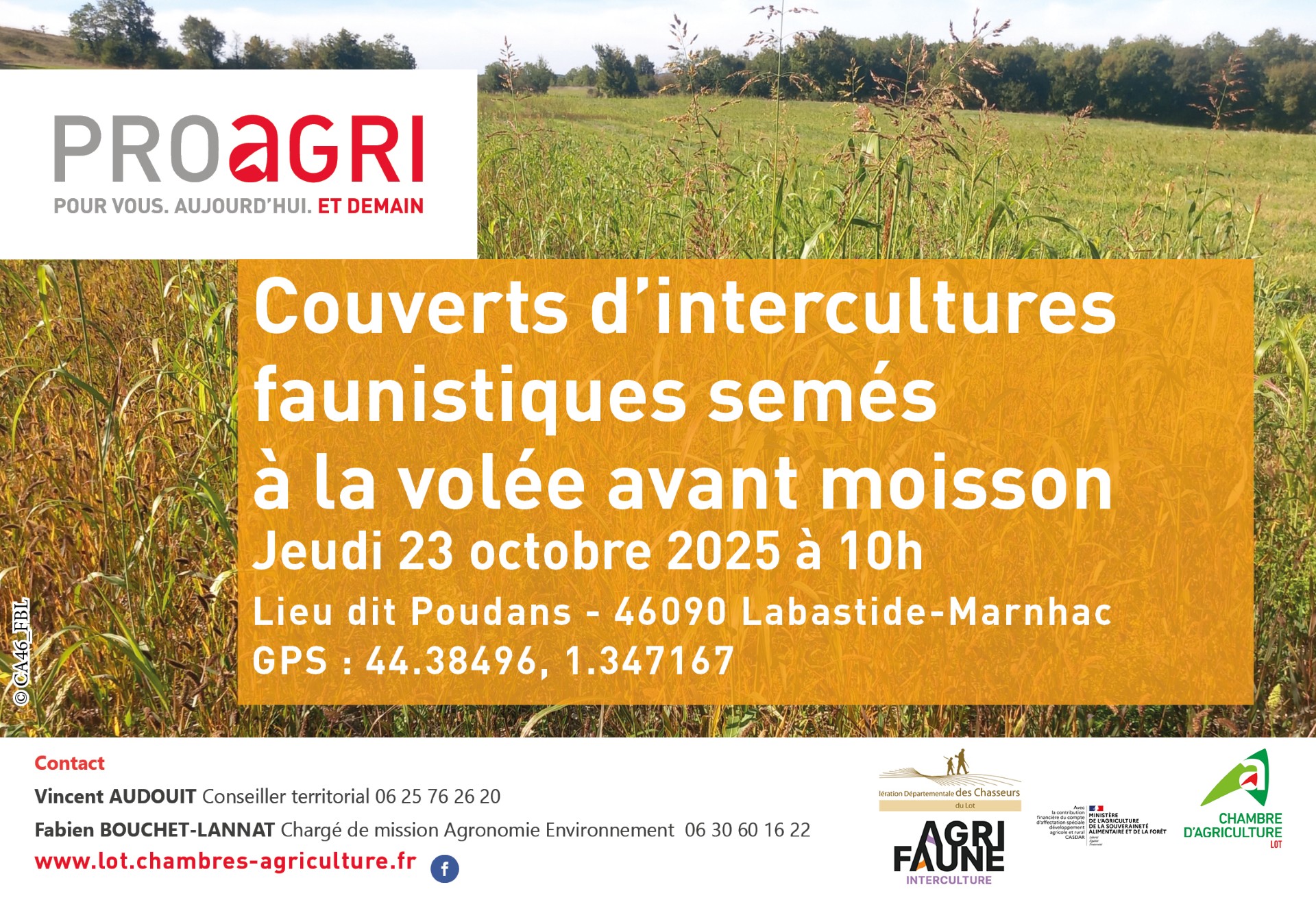 Journée technique : couverts d’intercultures faunistiques semés à la volée avant moisson