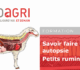 Formation « Savoir faire une autopsie sur les petits ruminants »