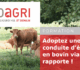 Formation à partir du 30 octobre : « Adoptez une conduite d'élevage bovin viande qui rapporte »