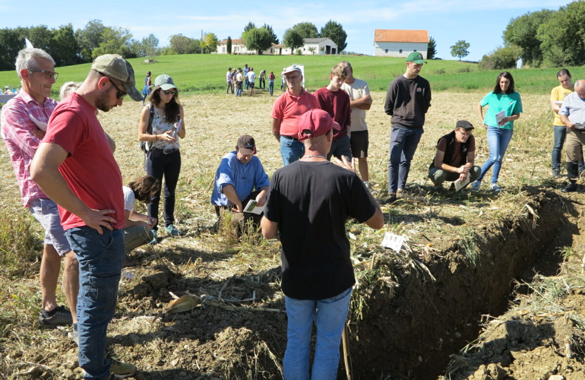 Agriculture de conservation des sols : une rencontre technique fructueuse à Castelnau-Montratier