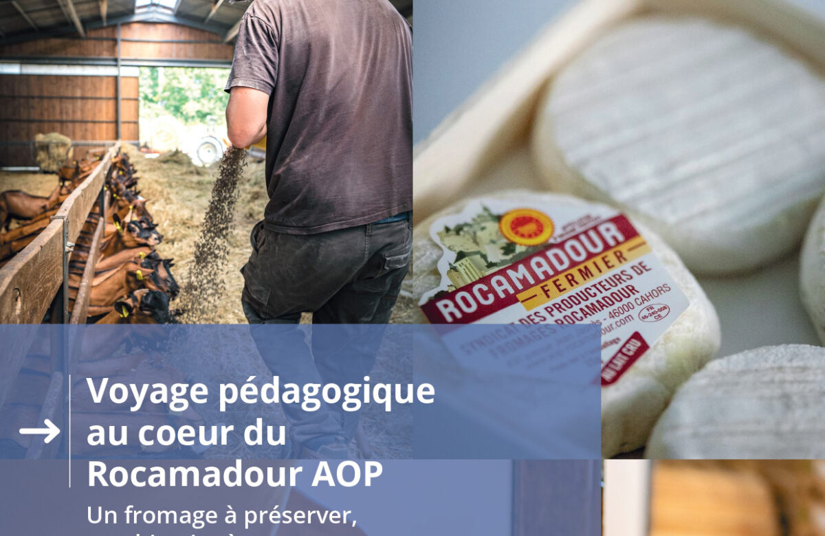 Le Rocamadour AOP s’invite dans les écoles primaires
