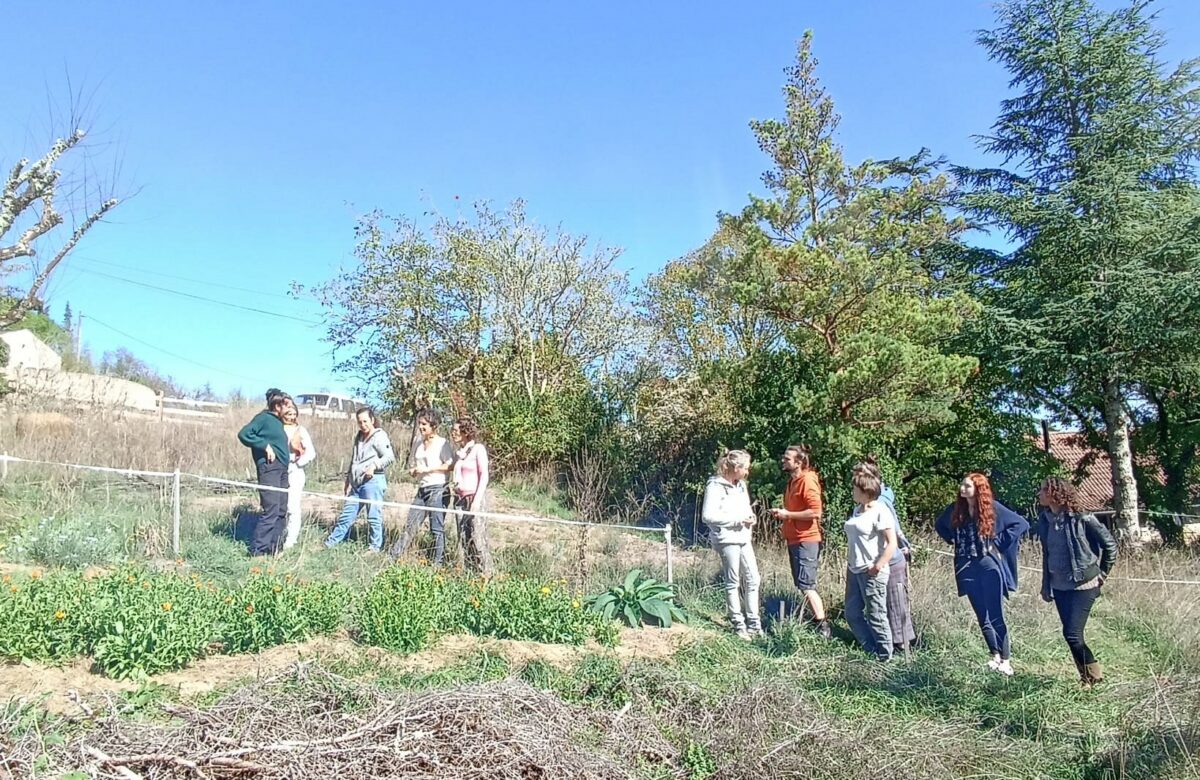 Rencontre PPAM bio : des échanges riches pour les nouveaux installés et porteurs de projets