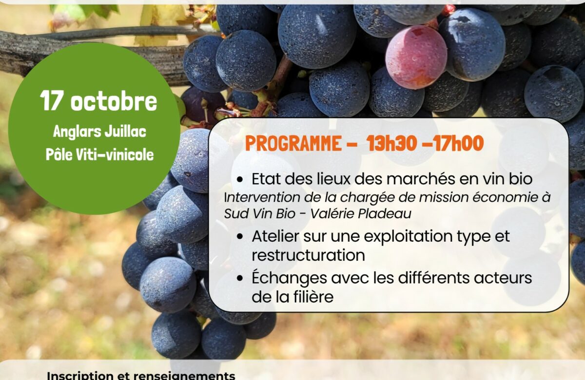 Rencontre sur les marchés en viticulture bio et la restructuration du vignoble lotois à Anglars-Juillac
