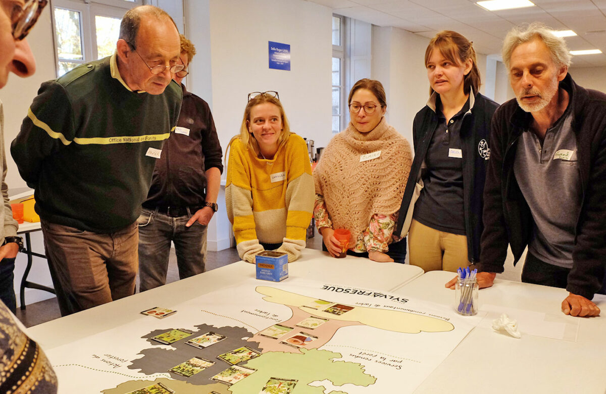 La Sylvafresque, une fresque pour mieux connaître et agir en faveur des forêts du territoire