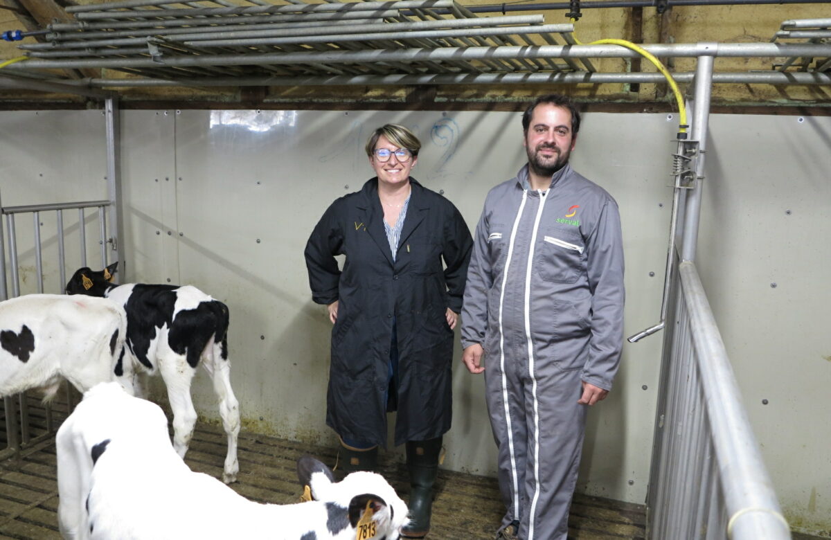 Veau de boucherie : un atelier opérationnel pour Florian Larroche