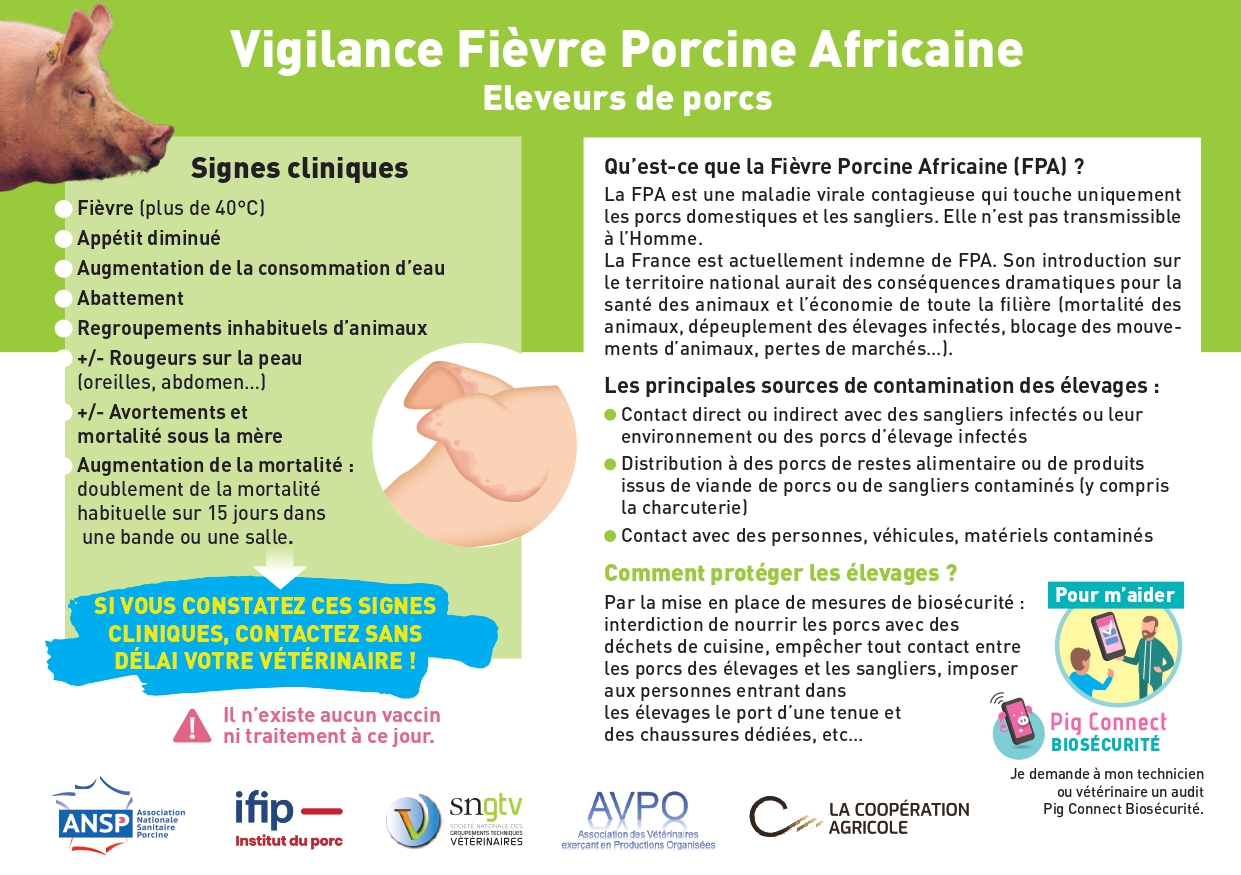 Audits biosécurité sur la fièvre porcine africaine… avant le 31 décembre 2025
