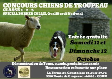 Concours de chiens de troupeau : les 11 et 12 octobre à Corn