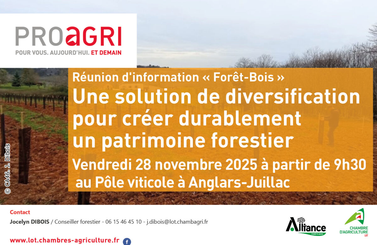 Réunion d’information « Forêt-Bois » : une solution de diversification pour créer durablement un patrimoine forestier