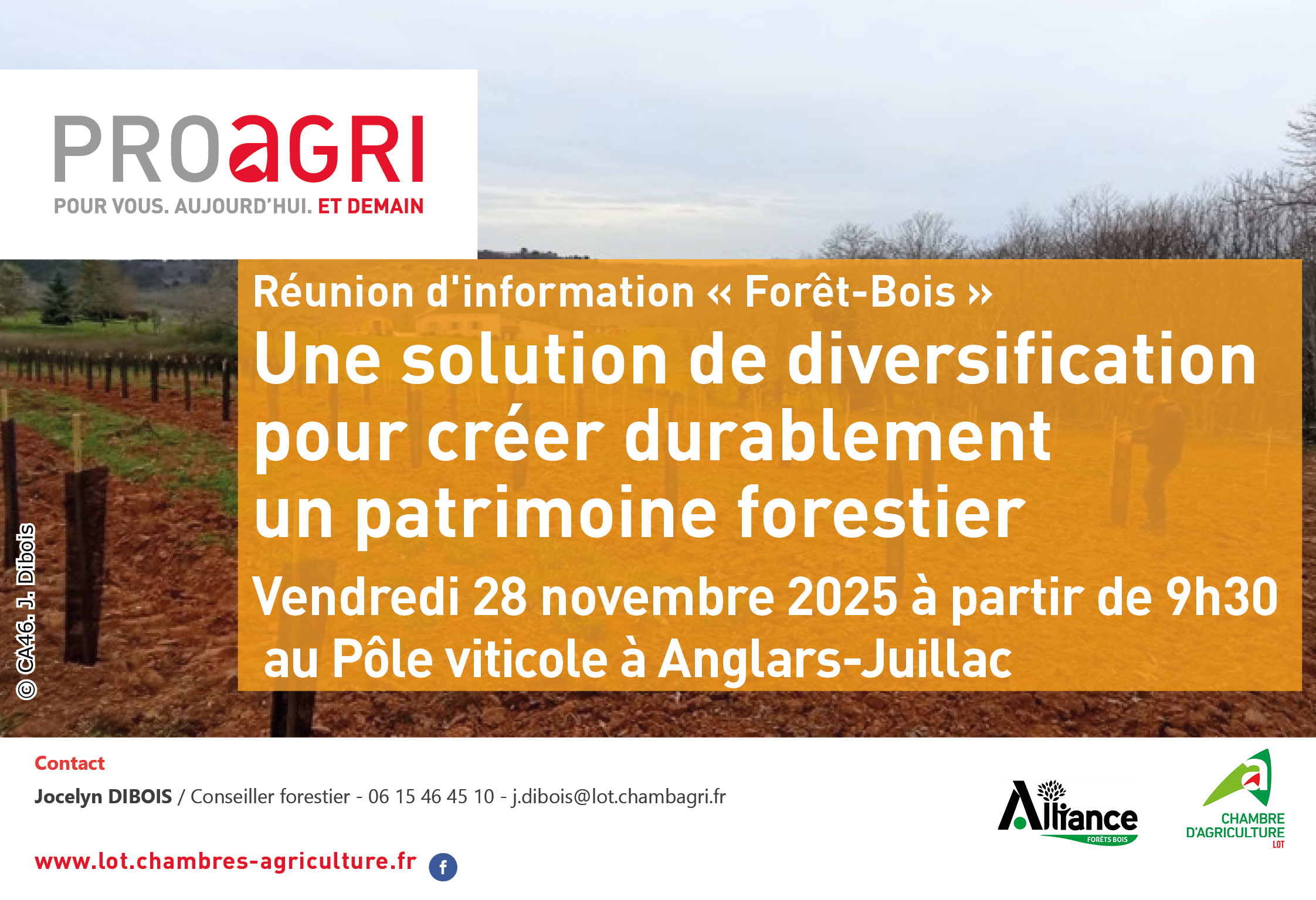 Réunion d’information « Forêt-Bois » : une solution de diversification pour créer durablement un patrimoine forestier