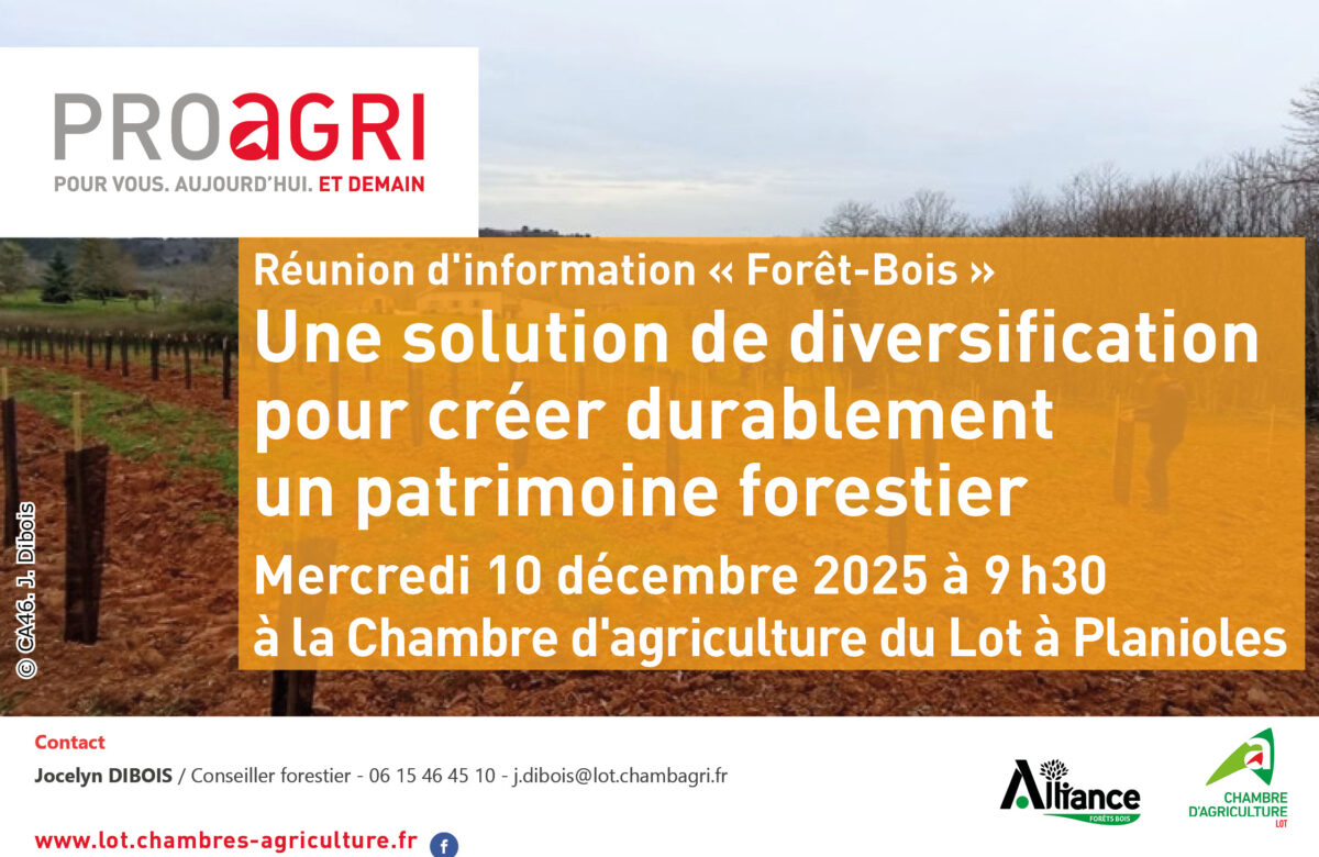 Réunion d’information « Forêt-Bois » : une solution de diversification pour créer durablement un patrimoine forestier